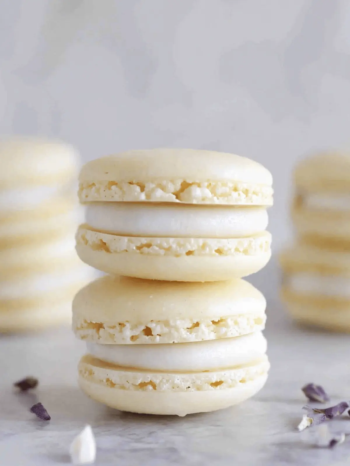 Fluffy Vegan Macarons That Will Impress Your Guests 2 Vegan Macarons
