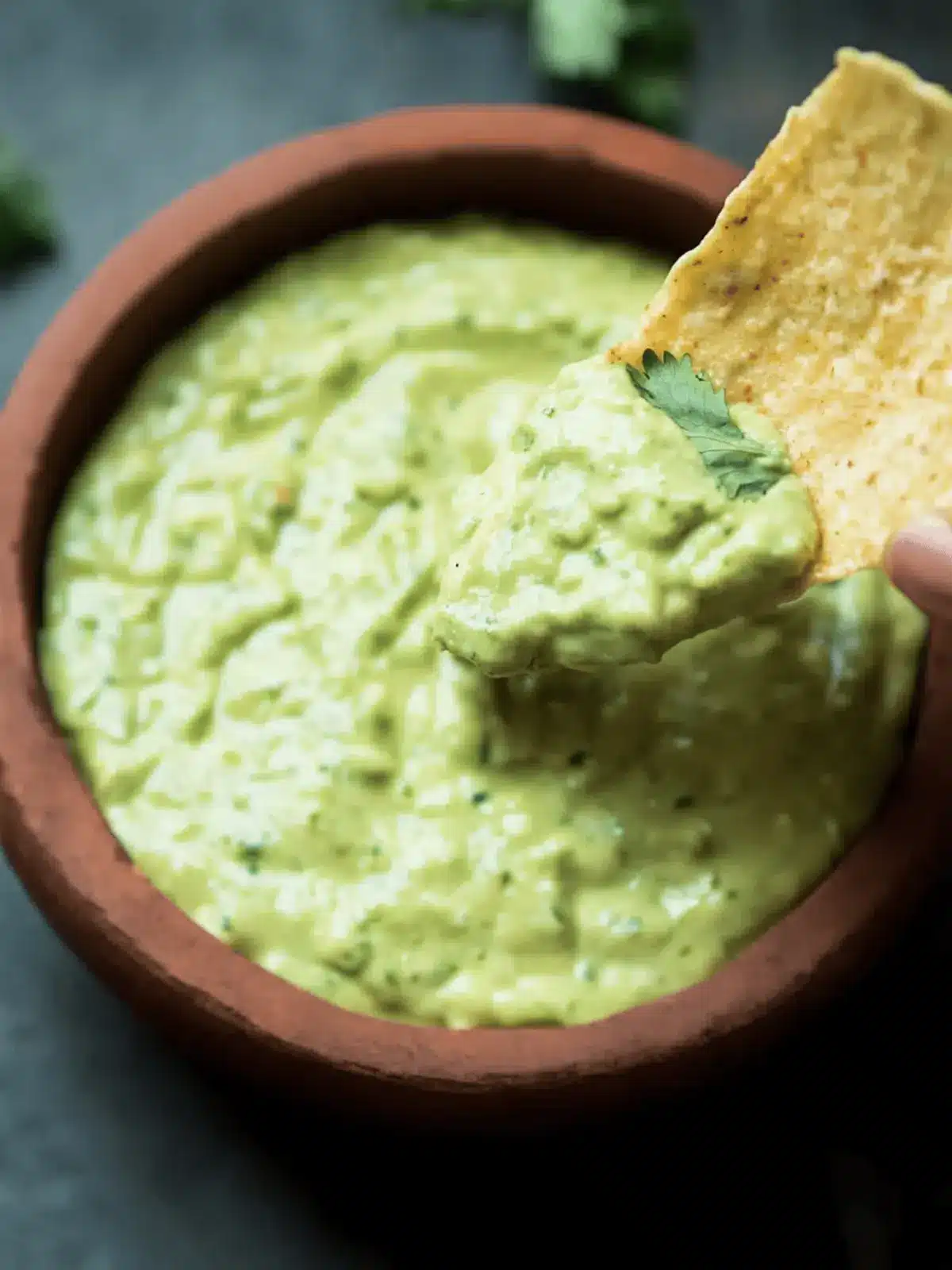 Creamy Avocado Cilantro Sauce You ll Crave in Just 5 Minutes 2 Creamy Avocado Cilantro Sauce